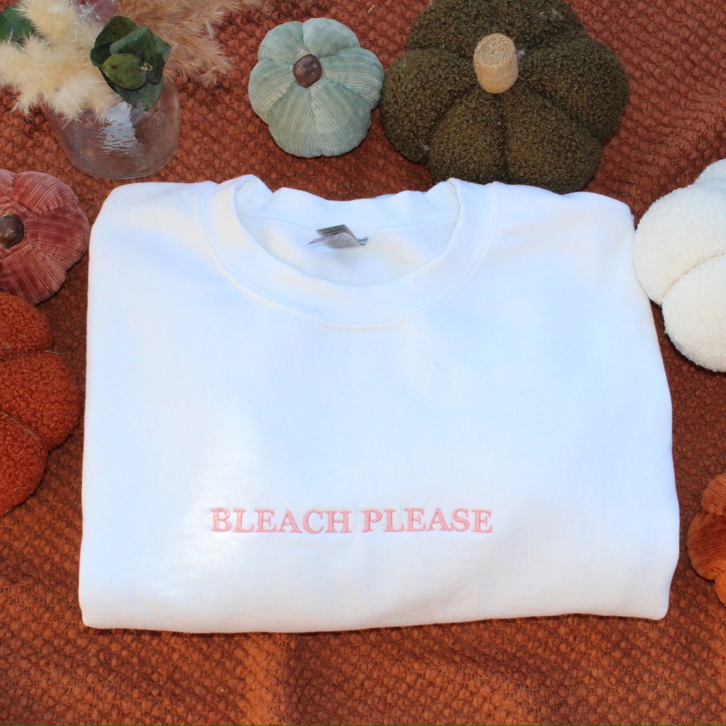 Bleach Please Embroidered Crewneck